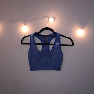 Gymshark Seamless Sports Bra in Blueberry